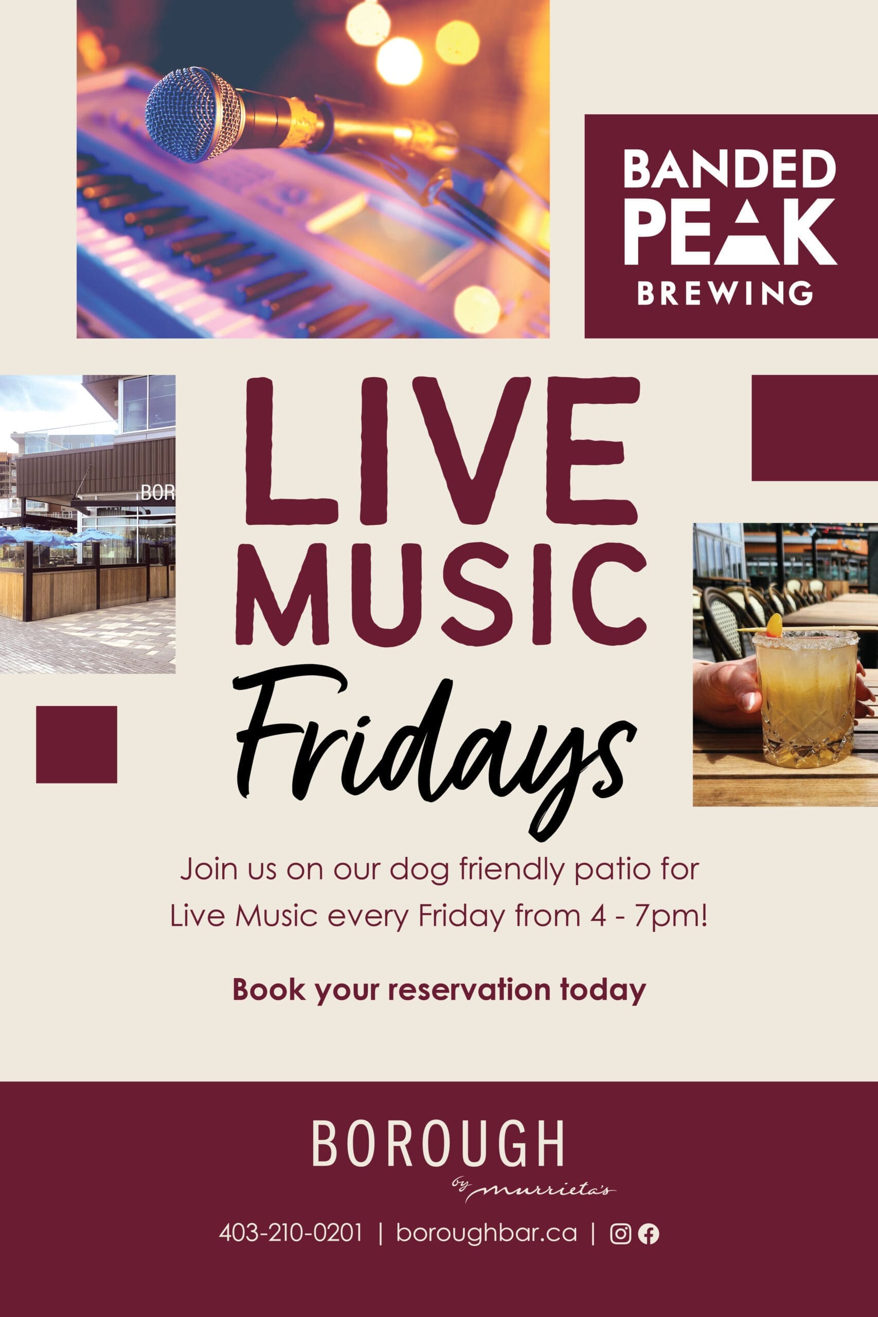 Live music fridays